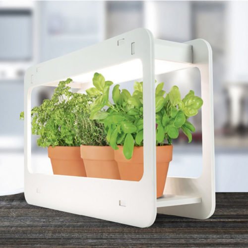 Lampe Potager d’Intérieur Blanc Lampe Potager d’Intérieur Blanc