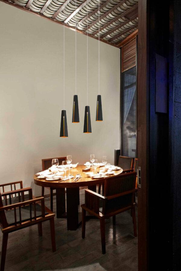 Suspension Pluma