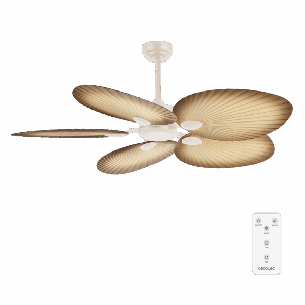 BRASSEUR D'AIR PALM – Image 6